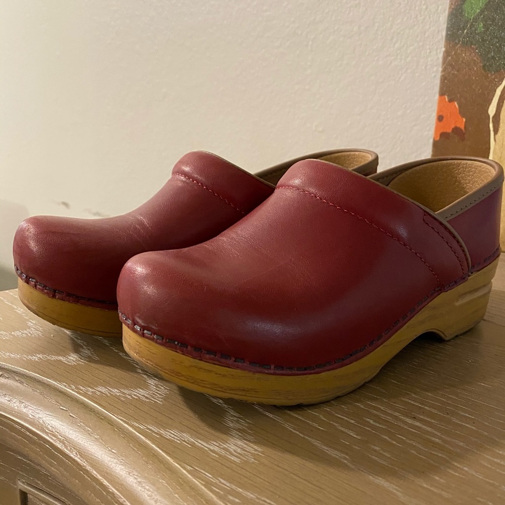 Dansko Professional